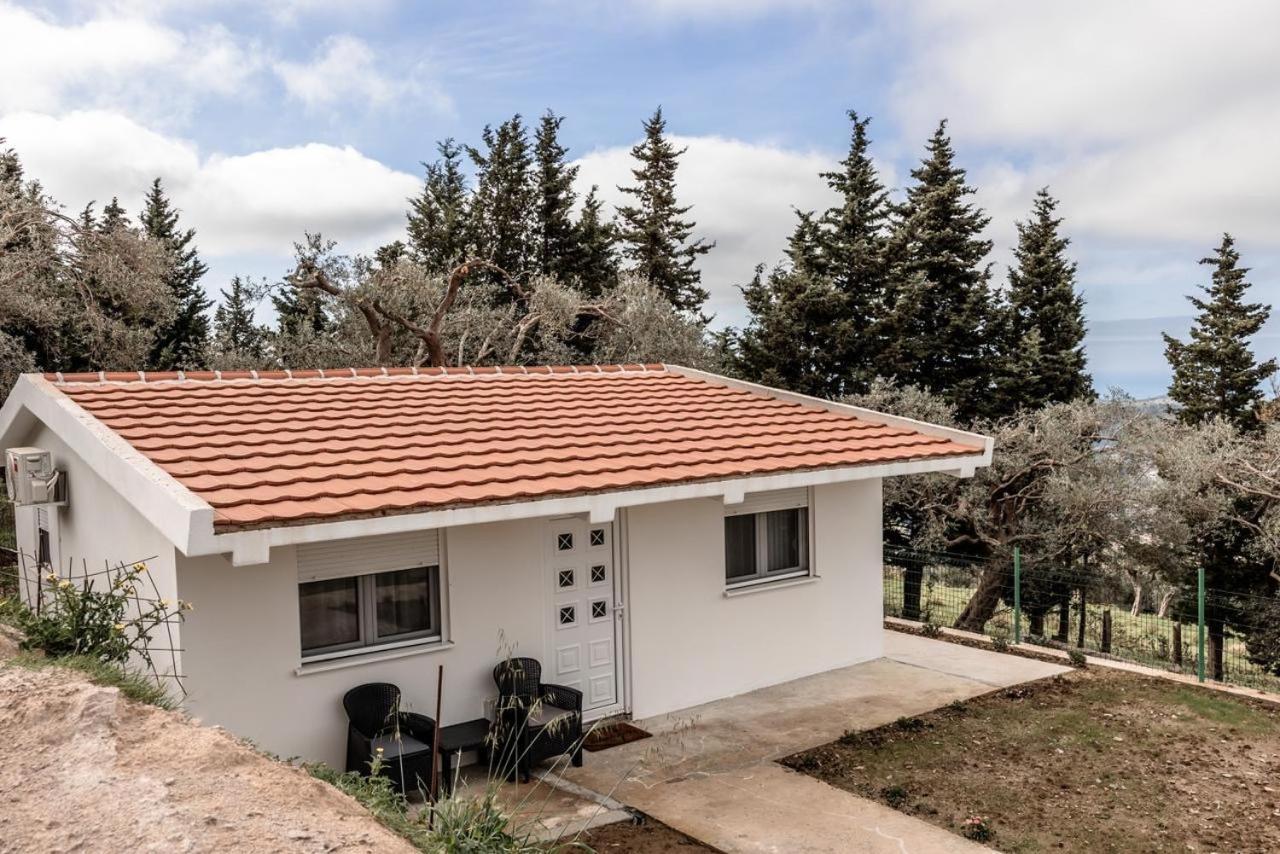 Olive Grove Appartement Bar Buitenkant foto